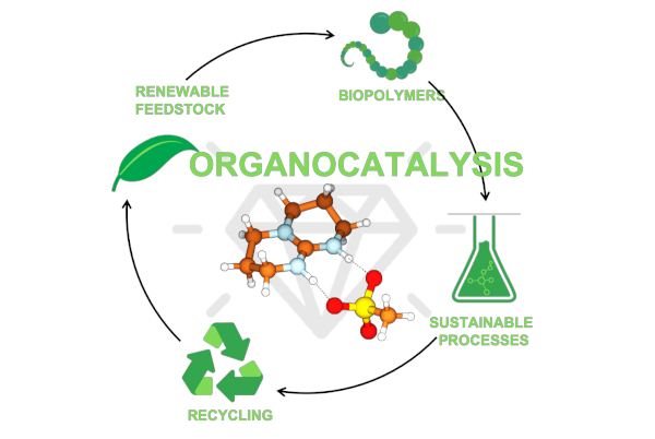 Foto de Catalysis and Sustainable Polymers