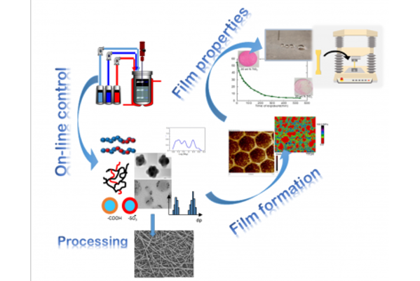 Foto de Polymerization Processes Group